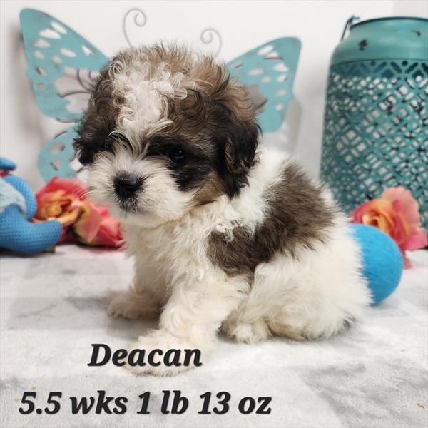 SHIHPOO
